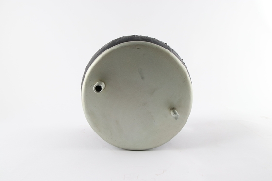 1T15M-2 W01-358-8646 Firestone Trailer Truck Air Spring Do QIND RT1320325A1